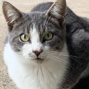 Meet your Posher, Louis